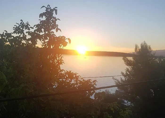 51 * 고르니 카린