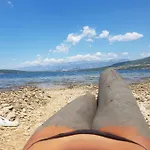 51 *