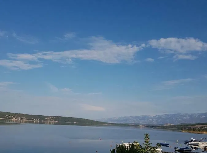 51